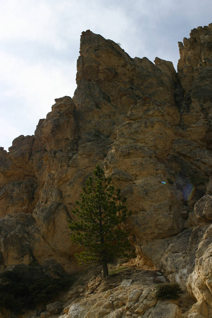 Big rocks, little trees by rosysmile on DeviantArt