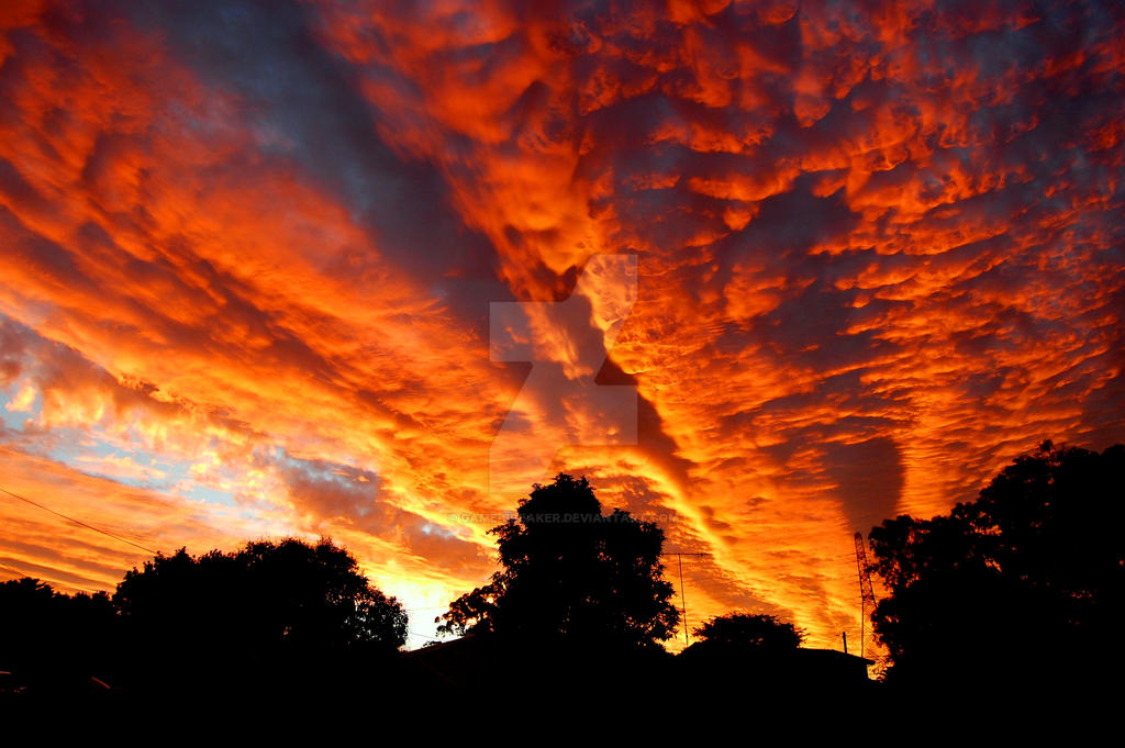 Fire in the Sky