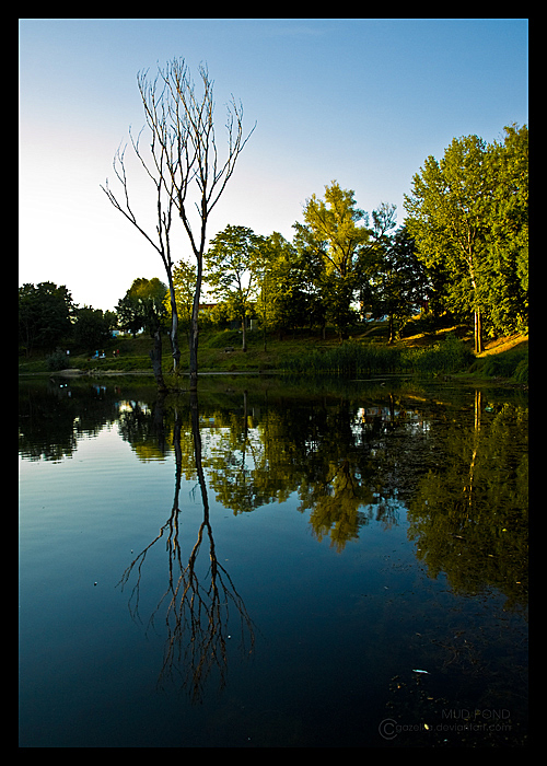 Mud Pond