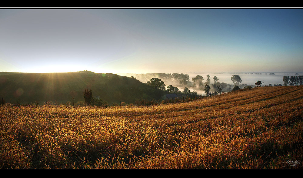 Misty Sunrise