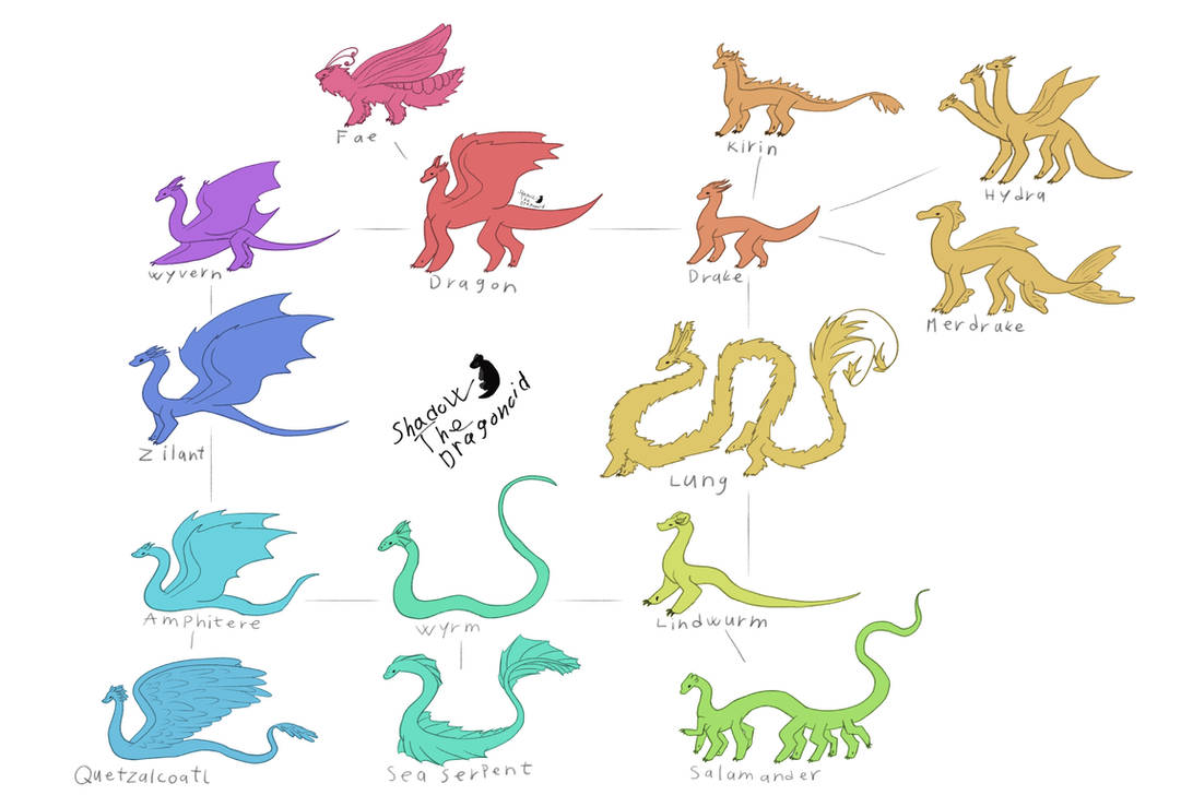 Dragon species chart (more info in desc) by ShadowTheDragonoid on ...