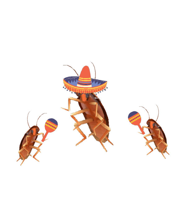 Dancing Insect Meme Mexico dancing cockroaches meme by DestinyPrint on DeviantArt