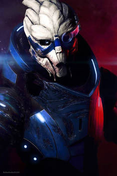 Garrus Vakarian - Mass Effect 2 #1