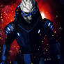 Garrus Vakarian - Mass Effect 2 #2