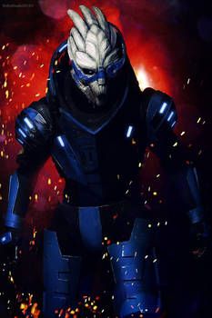 Garrus Vakarian - Mass Effect 2 #2