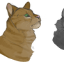 Firestar and Yellowfang