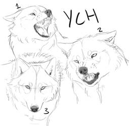 Attitude YCH batch