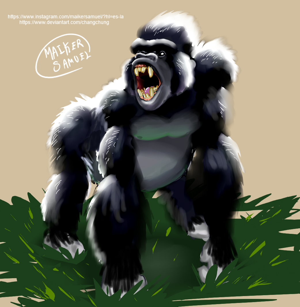 Primates Deviantart Base PRIMATES on Drawings-of-Animals - DeviantArt