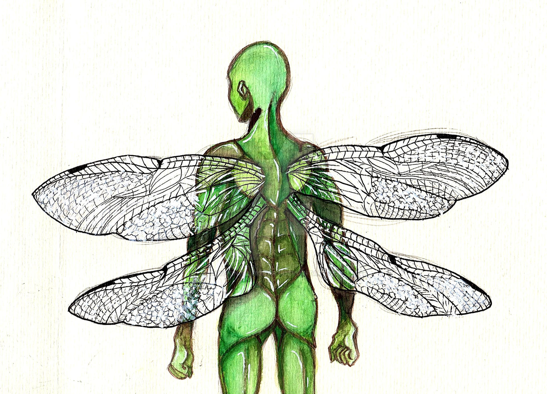 Firefly Body Animation Humanized Firefly by SkyeKingsleighArt on DeviantArt