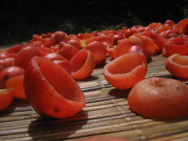 Dried Fruits