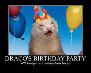 Motivational Draco's Birthday