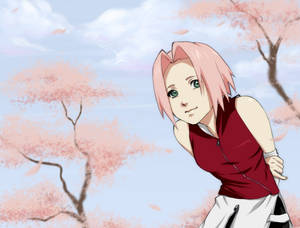 Sakura - Blossom