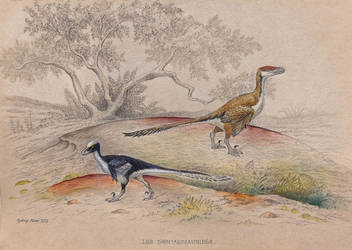 Les Dromaeosauridae