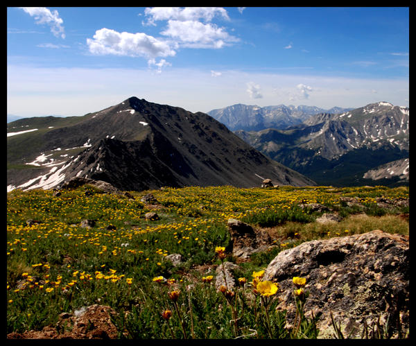 Wildflower Ridge by centrifuge on DeviantArt