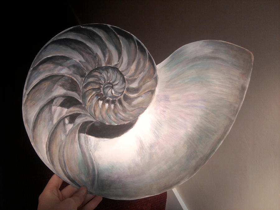Body As A Shell Art Inside the Shell Painting by Fuzzums2 on DeviantArt