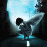 Angel In the City