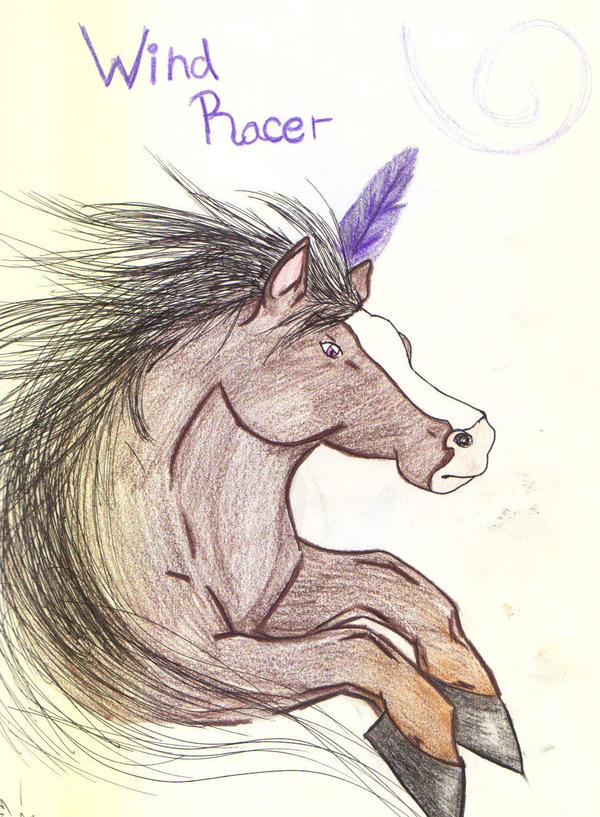 Wind Racer by cmoffitt1 on DeviantArt