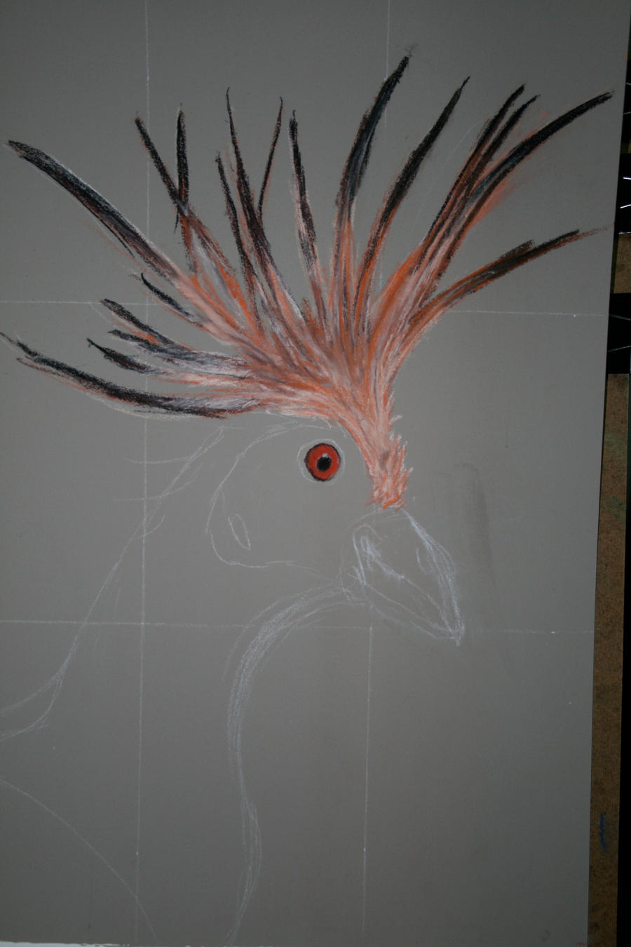 Hoatzin WIP