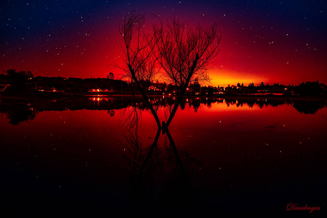 Tree Reflection Night Tree reflections by Davidevgen on DeviantArt