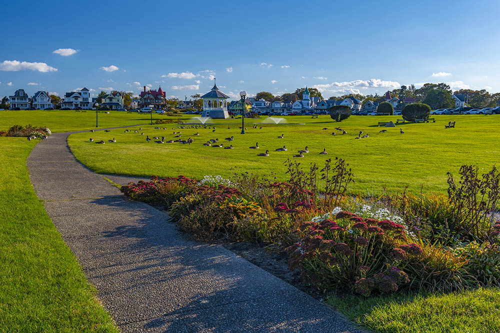 A Stroll Through The Park By Davidevgen On Deviantart A Stroll Through The Park By Davidevgen On Deviantart