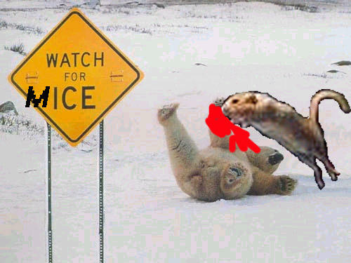 Beware Mouse Beware of the Mouse by theworks on DeviantArt
