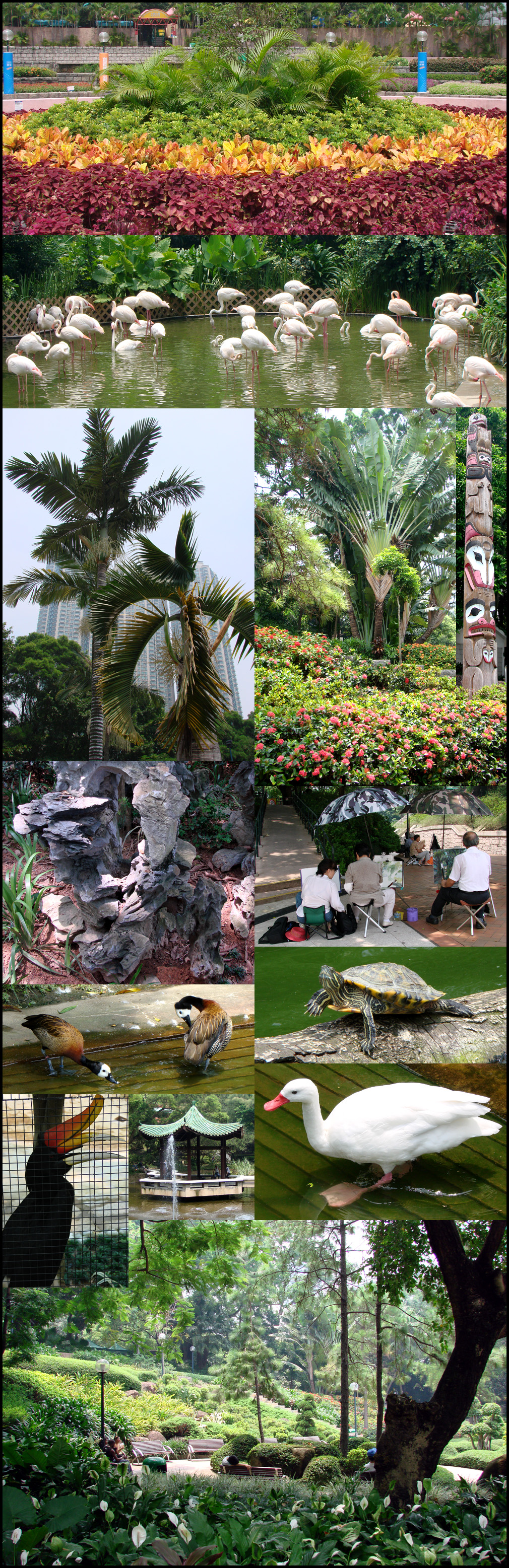 HK - Kowloon Park