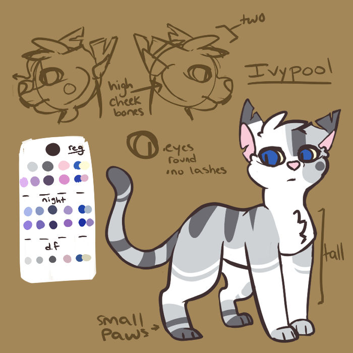 Ivypool Original Ivypool Ref by starrywishy on DeviantArt