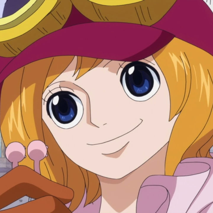 Koala One Piece By Alluca On Deviantart Koala One Piece By Alluca On Deviantart