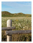 Prince Edward Island 2 by SilverEagle21