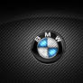 Carbon Fiber Bmw Logo 1