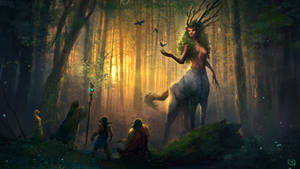 Spirit of The Forest