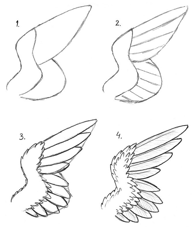 Wing tutorial