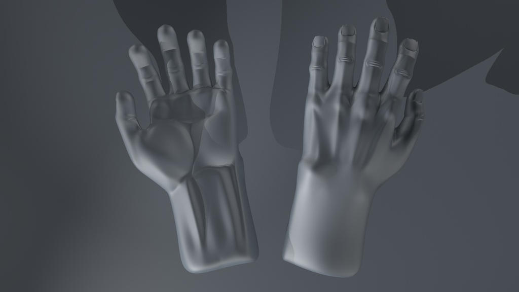 Hand Top View by Weertaz on DeviantArt