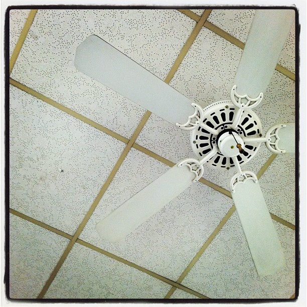 Lonely Ceiling Fan