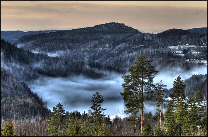 Fog on the river