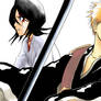 Bleach vol. 1. The story of destiny begins.