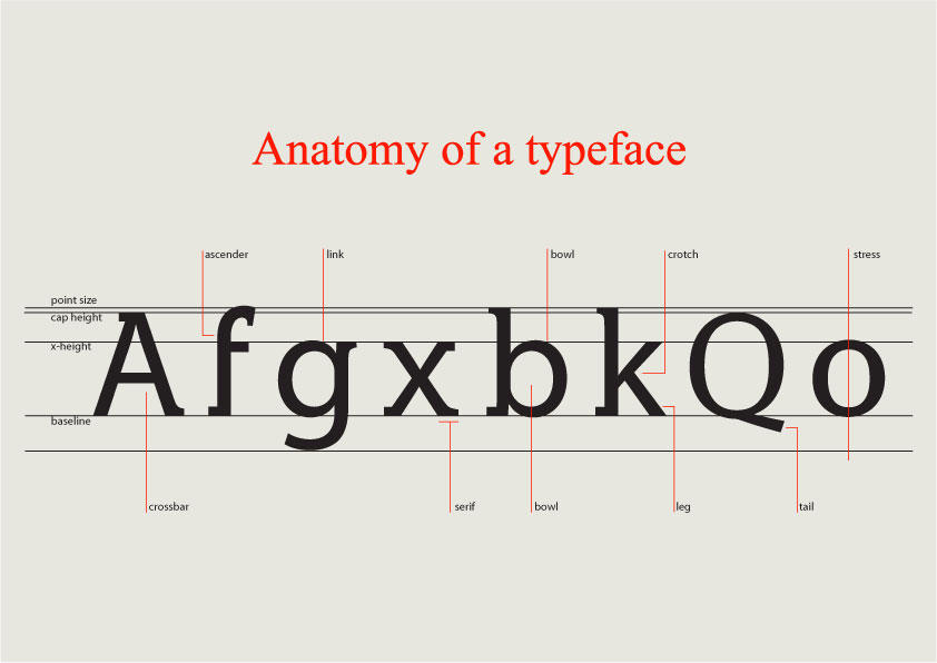 Anatomy of a typeface by kinoshita on DeviantArt