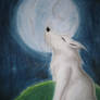 The Wolf and the Moon