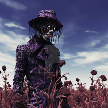 Scarecrow in the Field