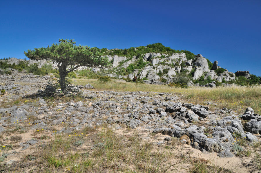 High Light on the Larzac