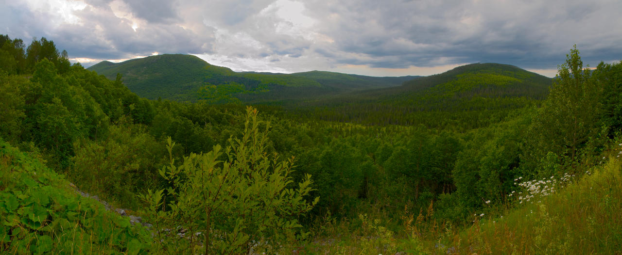 Gaspesie National park - Panorama