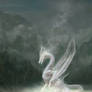 Cloud Dragon