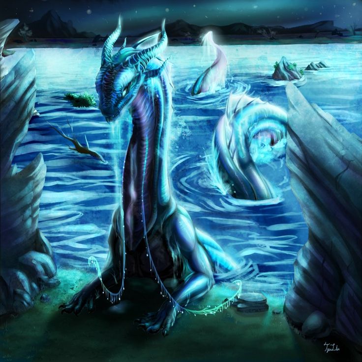 Water dragon