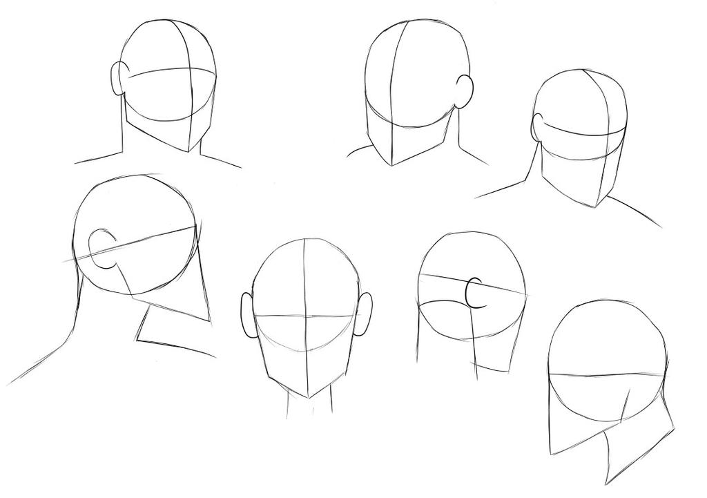 Head Drawing Practice (Digital) by Tim-Solomon on DeviantArt