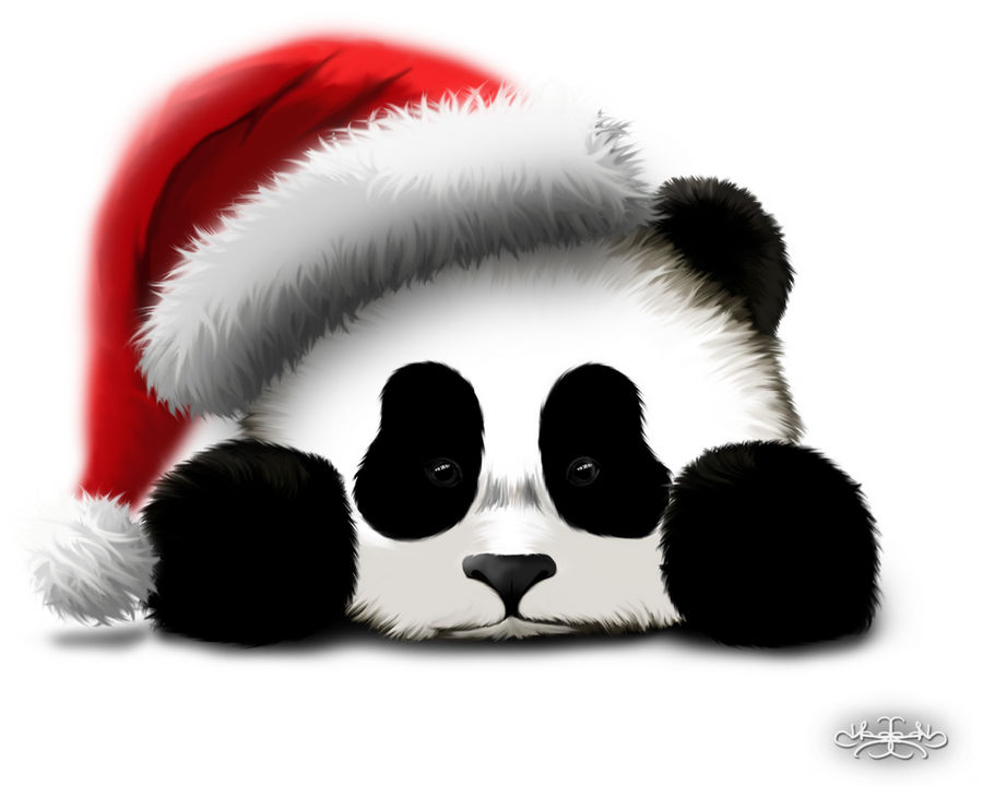 Sad Panda in Christmas hat