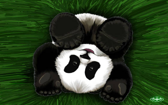 Roly Poly Panda Cub