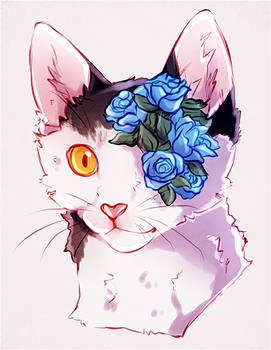 awkitsu - Digital Artist | DeviantArt