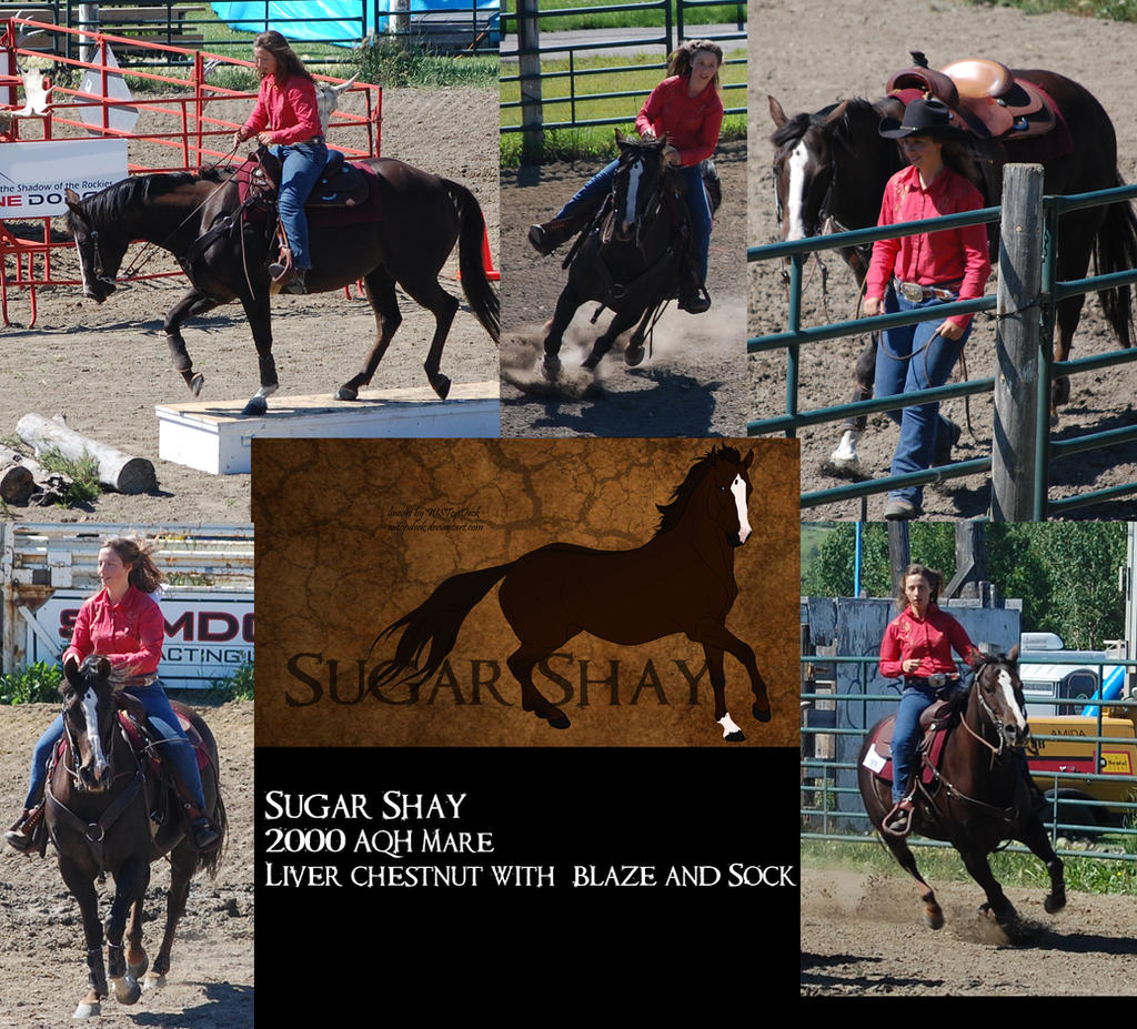 Shay Sheets Sugar Shay 'sheet' by CrazyRodeoGirl on DeviantArt