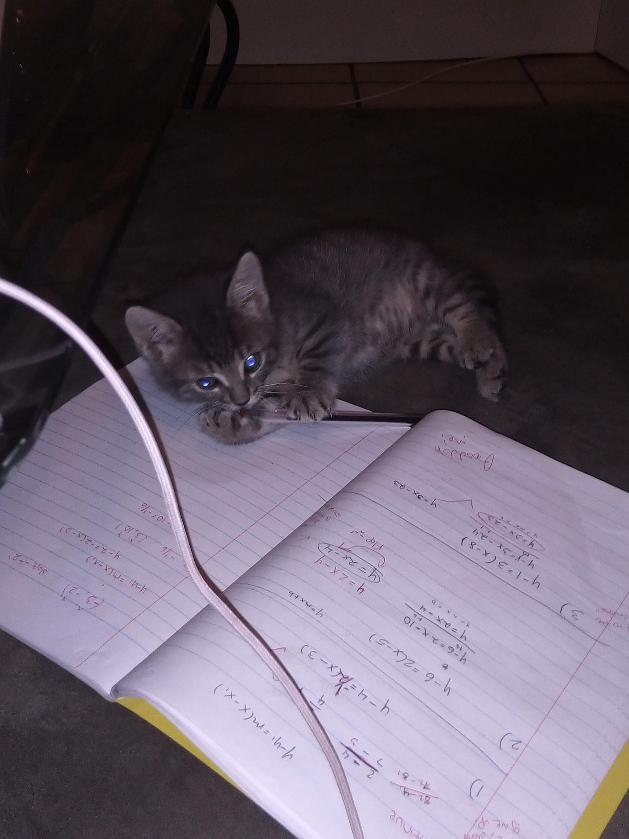 Math cat by LunarFeat21 on DeviantArt