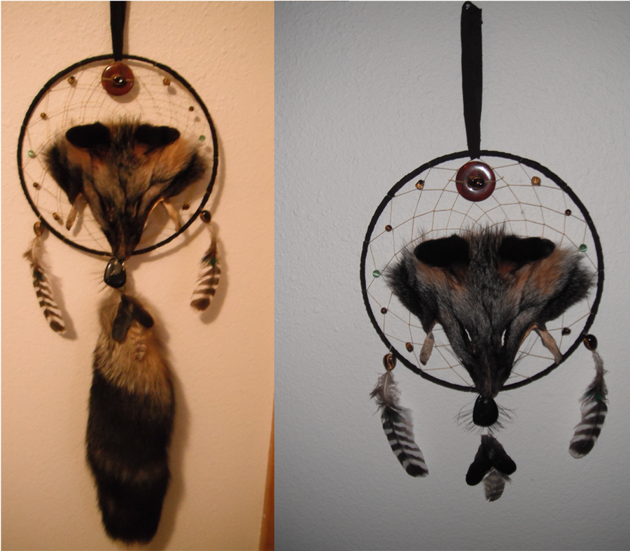 My Dream Catcher